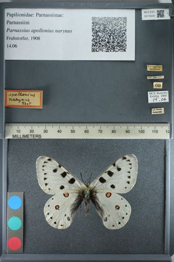 Media type: image;   Entomology 174225